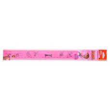 Линейка Deli EG01402 Explora пластик дл.30см ассорти пластиковый пакет с европодв.