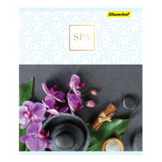Тетрадь Silwerhof 812035-45 40л. клет. A5 СПА 4диз. картон вод.лак скрепка