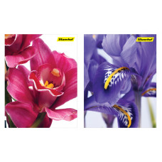 Блокнот Silwerhof 731186-26 40л. клет. А6 Цветы 2диз. картон сплош.уф.лак гребень